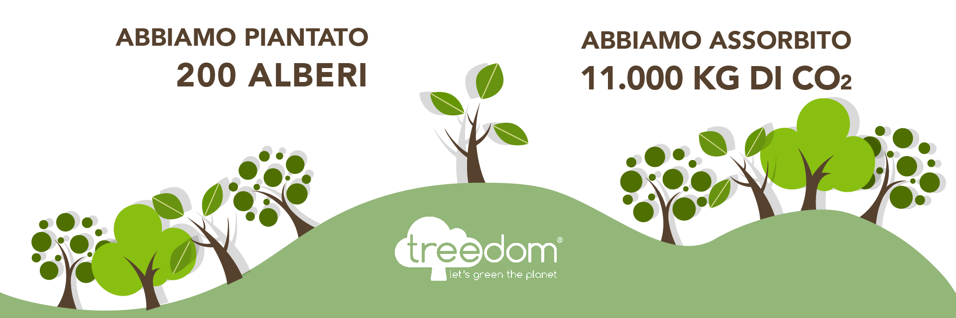 Abbiamo piantato 200 alberi e assorbito 11.000 kg di CO2