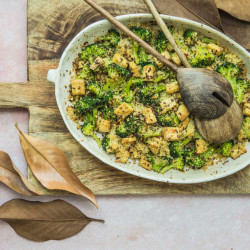 probios-sformato-quinoa-broccoli-tofu