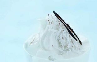 Coconut Milk Ice Cream