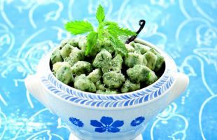 Nettle Gnocchi with Vanilla "Spalmoil"