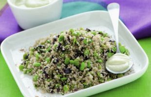 Quinoa with Broad Beans and Olives in a Sauce of Fennel